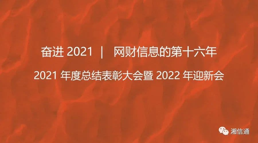 奮進2021| 網财信息的第十六年